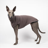 Whippet dog wearing a fluffy reversible sleeveless sweater/jumper in charcoal/grey colour reverse side standing left side on
