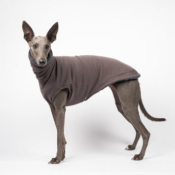 Whippet dog wearing a fluffy reversible sleeveless sweater/jumper in charcoal/grey colour reverse side standing left side on