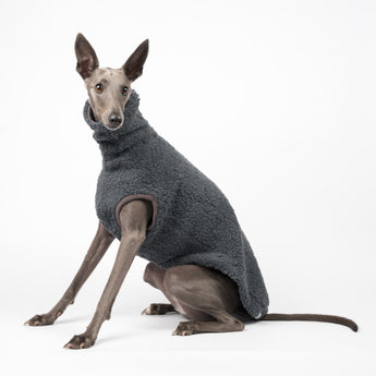 Whippet dog wearing a fluffy reversible sleeveless sweater/jumper in charcoal/grey colour sitting left side on
