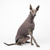 Whippet dog wearing a fluffy reversible sleeveless sweater/jumper in charcoal/grey colour reverse side sitting  right side on
