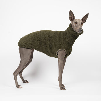 Whippet dog wearing a fluffy reversible sleeveless sweater/jumper in khaki/green colour standing right side on
