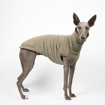 Whippet dog wearing a fluffy reversible sleeveless sweater/jumper in khaki/green colour reverse side standing right side on