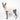Whippet dog wearing a fluffy reversible sleeveless sweater/jumper in vanilla/white colour standing left side on