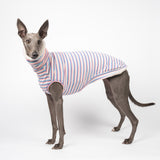 Whippet dog wearing a fluffy reversible sleeveless sweater/jumper in vanilla/white colour reverse side standing left side on