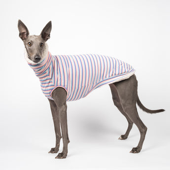 Whippet dog wearing a fluffy reversible sleeveless sweater/jumper in vanilla/white colour reverse side standing left side on