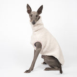 Whippet dog wearing a fluffy reversible sleeveless sweater/jumper in vanilla/white colour sitting left side on
