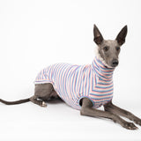 Whippet dog wearing a fluffy reversible sleeveless sweater/jumper in vanilla/white colour reverse side laying down
