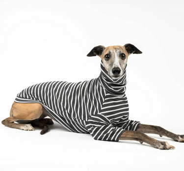 Snootly whippet ribbed sweater charcoal stripe 