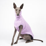 Whippet dog wearing a fluffy reversible sleeveless sweater/jumper in lilac/purple colour sitting