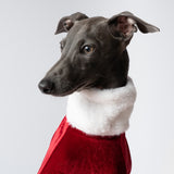 Christmas Luxe Fur Sweater - Italian Greyhound