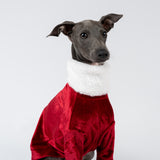 Christmas Luxe Fur Sweater - Italian Greyhound