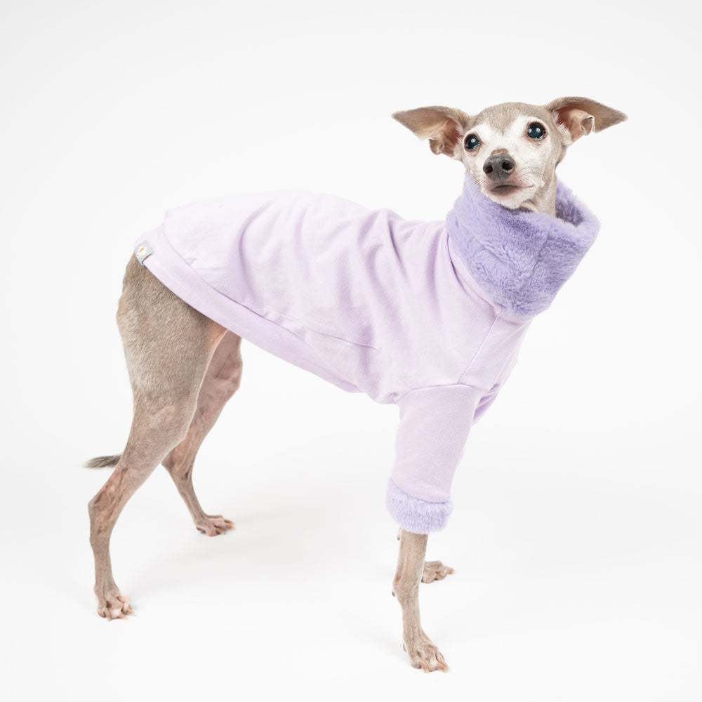 Italian Greyhound Luxe Fur Sweater in Lilac | IGGY DOGWEAR – Snootly