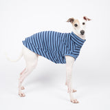 Ribbed Sleeveless Sweater in Royal Blue - Italian Greyhound