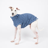 Ribbed Sleeveless Sweater in Royal Blue - Italian Greyhound