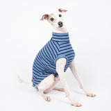 Ribbed Sleeveless Sweater in Royal Blue - Italian Greyhound