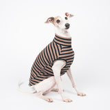 Ribbed Sleeveless Sweater in Tan/Navy Stripe - Italian Greyhound