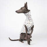 Sleeveless Sweater in Hound Print - Whippet