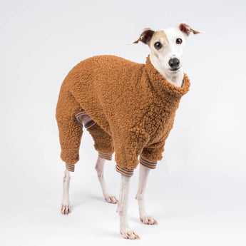 Italian greyhound dog wearing a fluffy reversible onesie in caramel standing right side 
