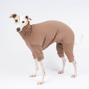 Italian greyhound dog wearing a fluffy reversible onesie in caramel standing left side 