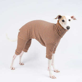 Italian greyhound dog wearing a fluffy reversible onesie in caramel standing right side on reverse side 