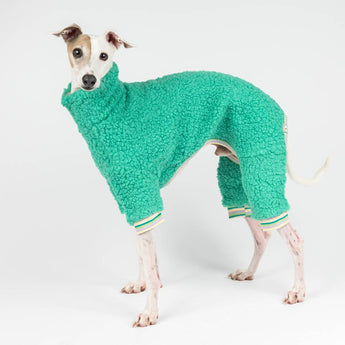 Italian greyhound dog wearing a fluffy reversible onesie in green standing left side 
