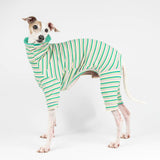 Italian greyhound dog wearing a fluffy reversible onesie in green reverse side standing