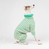 Italian greyhound dog wearing a fluffy reversible onesie in green sitting right side on 
