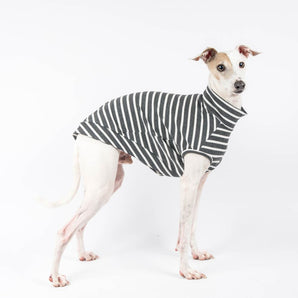 Ribbed Sleeveless Sweater in Charcoal Stripe - Italian Greyhound