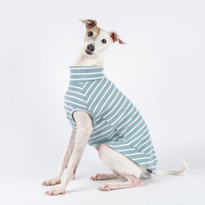 Ribbed Sleeveless Sweater in Dusty Blue Stripe - Italian Greyhound
