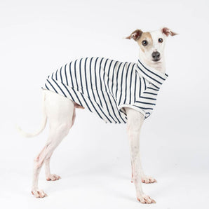 Ribbed Sleeveless Sweater in Sailor Stripe - Italian Greyhound