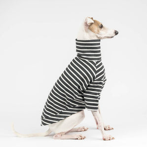 Ribbed Turtleneck Sweater in Charcoal Stripe - Italian Greyhound