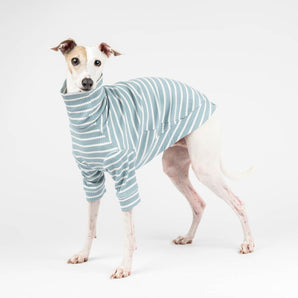 Ribbed Turtleneck Sweater in Dusty Blue Stripe - Italian Greyhound