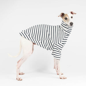 Ribbed Turtleneck Sweater in Sailor Stripe - Italian Greyhound