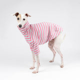 Turtleneck Sweater in Bubblegum Stripe - Italian Greyhound