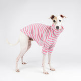 Turtleneck Sweater in Bubblegum Stripe - Italian Greyhound