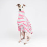 Turtleneck Sweater in Bubblegum Stripe - Italian Greyhound