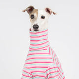 Turtleneck Sweater in Bubblegum Stripe - Italian Greyhound