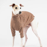 Turtleneck Sweater in Caramel Stripe - Italian Greyhound