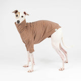 Turtleneck Sweater in Caramel Stripe - Italian Greyhound