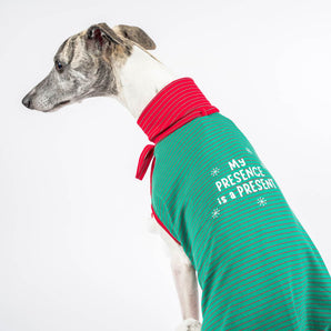 Christmas Present Sleeveless Sweater - Whippet