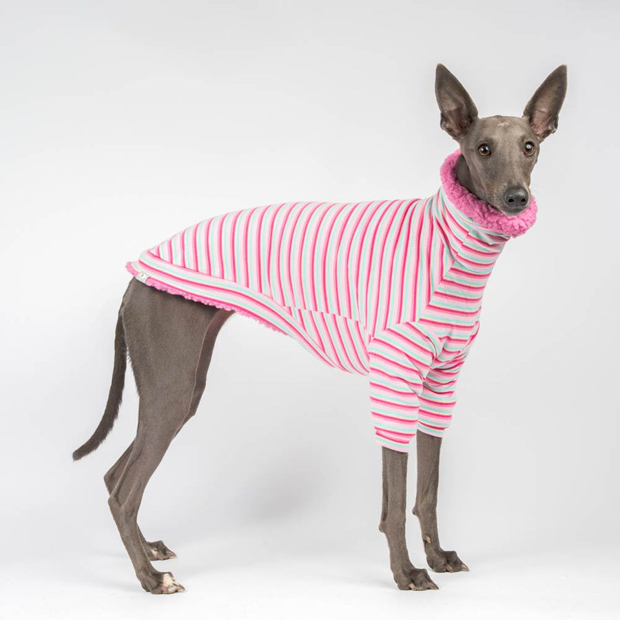 Bubblegum Pink Shaggy coat for Italian outlet Greyhound & Whippet