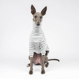 Fluffy Reversible Turtleneck Sweater in Grey - Whippet