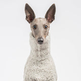 Fluffy Reversible Turtleneck Sweater in Grey - Whippet