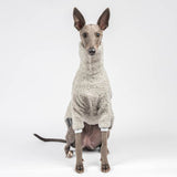 Fluffy Reversible Turtleneck Sweater in Grey - Whippet