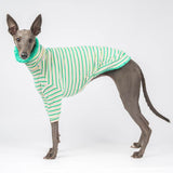 Fluffy Reversible Turtleneck Sweater in Sour Apple - Whippet