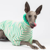 Fluffy Reversible Turtleneck Sweater in Sour Apple - Whippet