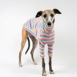 Ribbed Turtleneck Sweater in Sherbet Stripe - Whippet