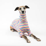 Ribbed Turtleneck Sweater in Sherbet Stripe - Whippet