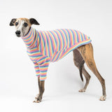 Ribbed Turtleneck Sweater in Sherbet Stripe - Whippet