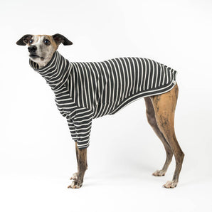 Whippet Ribbed Turtleneck Sweater - Charcoal Stripe